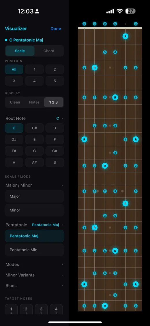Pentatonic scale shape highlighted on the fretboard